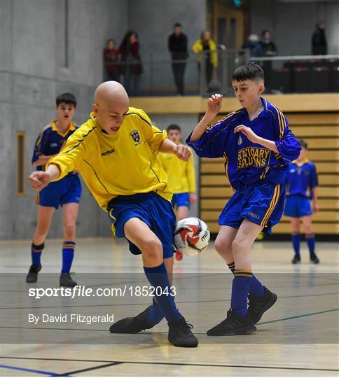 FAI Post Primary Schools Futsal National Finals