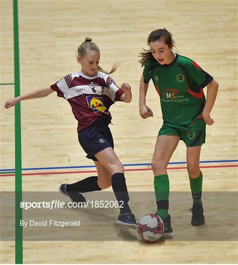 FAI Post Primary Schools Futsal National Finals