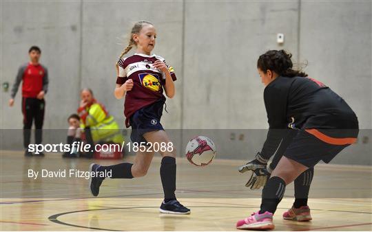 FAI Post Primary Schools Futsal National Finals FAI Post Primary Schools Futsal National Finals