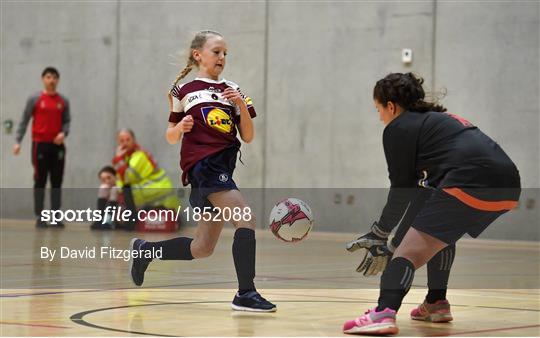 FAI Post Primary Schools Futsal National Finals