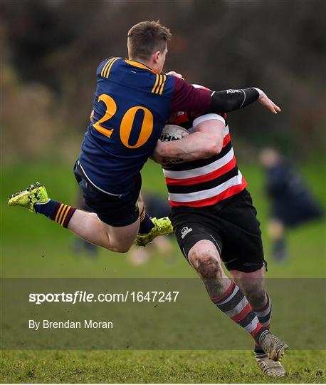 Sportsfile Images of the Year 2019