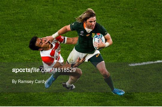 Sportsfile Images of the Year 2019