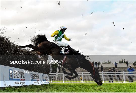 Sportsfile Images of the Year 2019