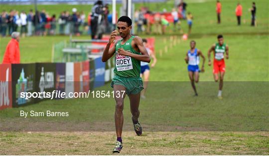 European Cross Country Championships 2019