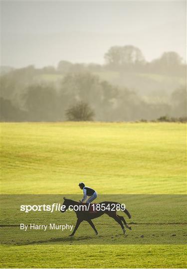 Horse Racing from Punchestown Horse Racing from Punchestown