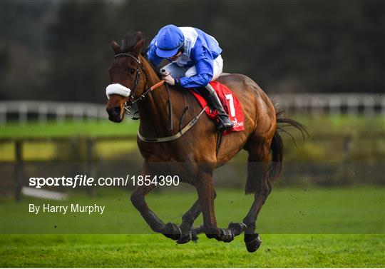 Horse Racing from Punchestown