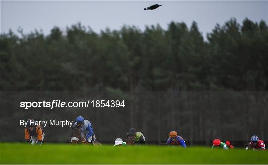 Horse Racing from Punchestown