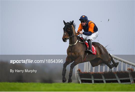Horse Racing from Punchestown Horse Racing from Punchestown