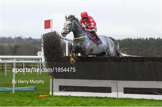 Horse Racing from Punchestown Horse Racing from Punchestown