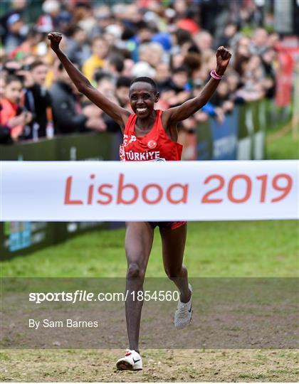 European Cross Country Championships 2019 European Cross Country Championships 2019