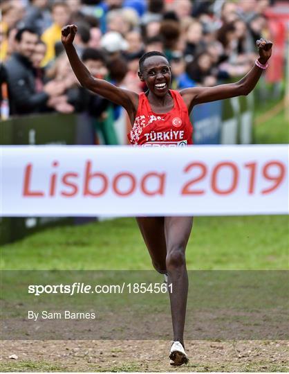 European Cross Country Championships 2019