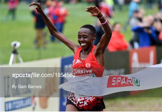 European Cross Country Championships 2019