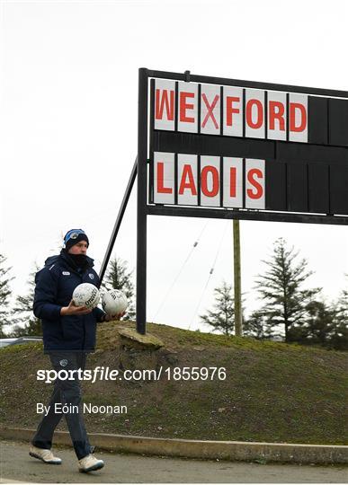 Wexford v Laois - 2020 O'Byrne Cup Round 2