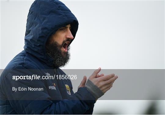 Wexford v Laois - 2020 O'Byrne Cup Round 2