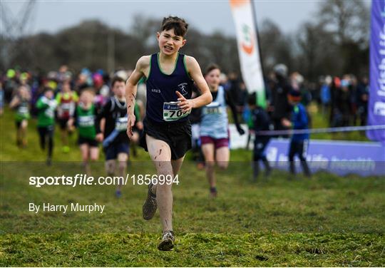 Irish Life Health Novice & Juvenile Uneven XC