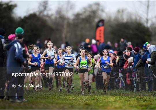 Irish Life Health Novice & Juvenile Uneven XC