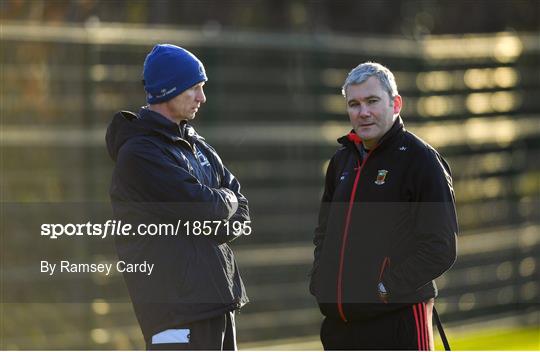 Leinster Rugby Press Conference and Squad Training