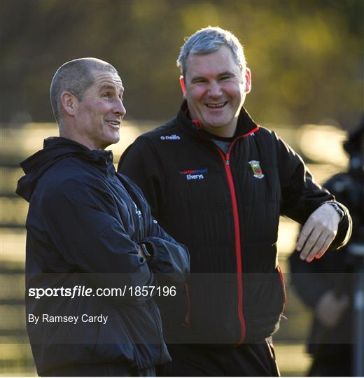 Leinster Rugby Press Conference and Squad Training