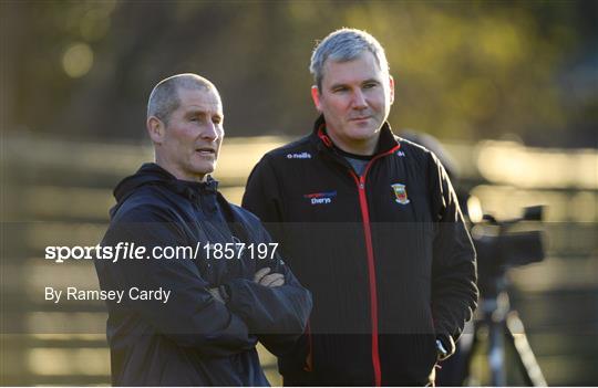 Leinster Rugby Press Conference and Squad Training