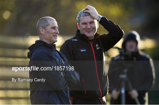 Leinster Rugby Press Conference and Squad Training