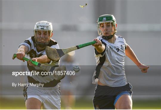 Dublin North Schools v St Kieran's College - Top Oil Leinster Schools Senior A Hurling Championship First Round