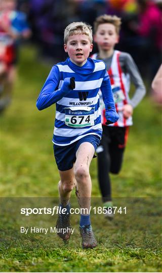 Irish Life Health Novice & Juvenile Uneven XC