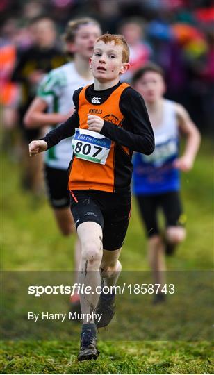 Irish Life Health Novice & Juvenile Uneven XC Irish Life Health Novice & Juvenile Uneven XC