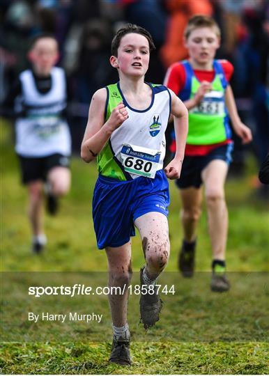 Irish Life Health Novice & Juvenile Uneven XC