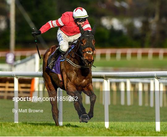 Leopardstown Christmas Festival 2019 - Day One