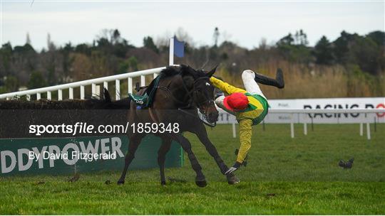 Leopardstown Christmas Festival 2019 - Day Two