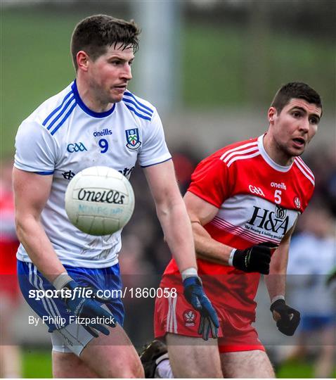 Monaghan v Derry - Bank of Ireland Dr McKenna Cup Round 1