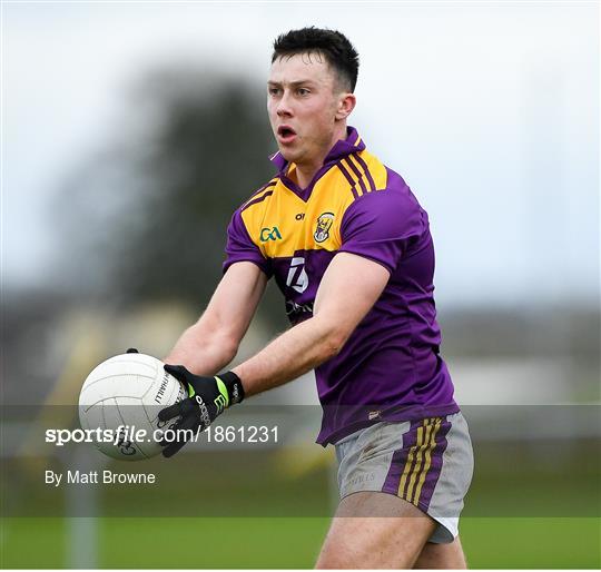Offaly v Wexford - 2020 O'Byrne Cup Round 2