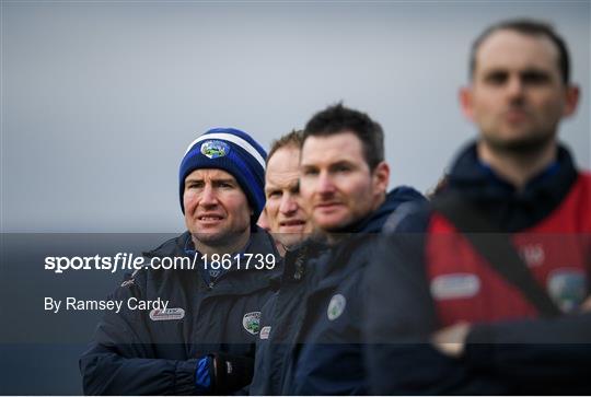 Laois v Westmeath - 2020 Walsh Cup Round 3