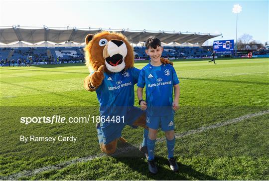 Mascots at Leinster v Lyon - Heineken Champions Cup Pool 1 Round 5
