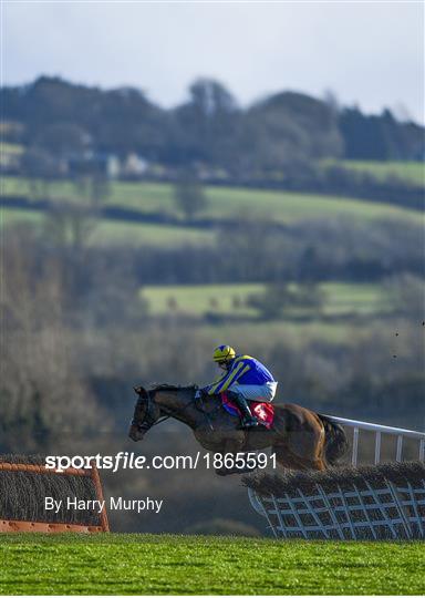 Horse Racing from Punchestown