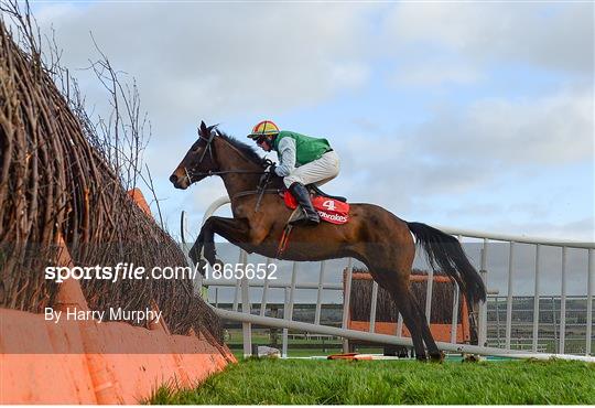Horse Racing from Punchestown Horse Racing from Punchestown