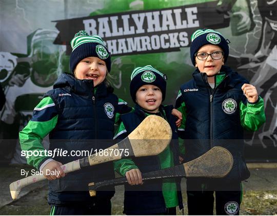 Ballyhale Shamrocks v Borris-Ileigh - AIB GAA Hurling All-Ireland Senior Club Championship Final Ballyhale Shamrocks v Borris-Ileigh - AIB GAA Hurling All-Ireland Senior Club Championship Final