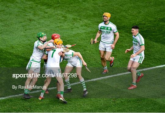 Ballyhale Shamrocks v Borris-Ileigh - AIB GAA Hurling All-Ireland Senior Club Championship Final Ballyhale Shamrocks v Borris-Ileigh - AIB GAA Hurling All-Ireland Senior Club Championship Final