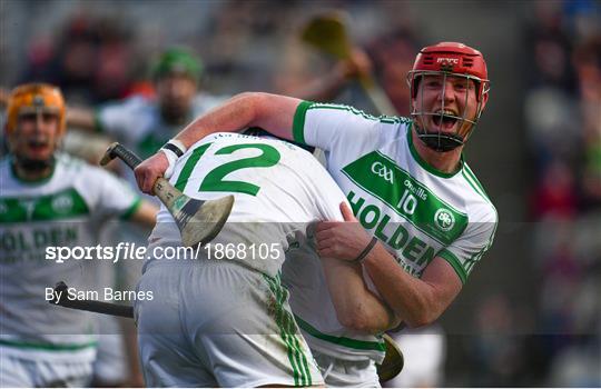 Ballyhale Shamrocks v Borris-Ileigh - AIB GAA Hurling All-Ireland Senior Club Championship Final Ballyhale Shamrocks v Borris-Ileigh - AIB GAA Hurling All-Ireland Senior Club Championship Final