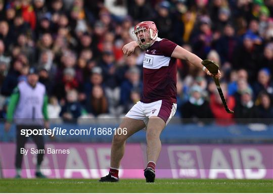 Ballyhale Shamrocks v Borris-Ileigh - AIB GAA Hurling All-Ireland Senior Club Championship Final