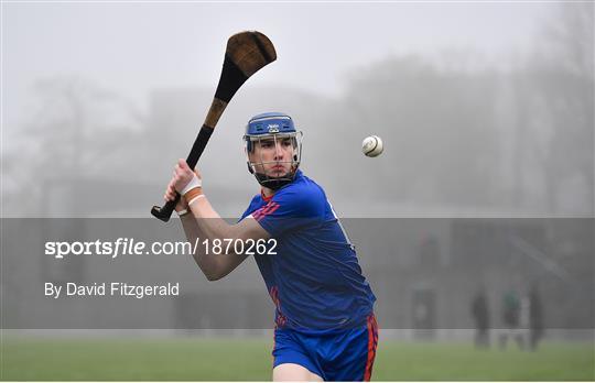 Mary Immaculate College v Waterford IT - Fitzgibbon Cup Group A Round 3