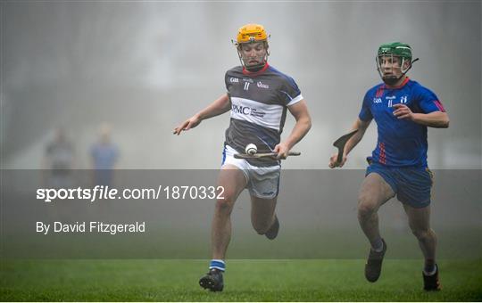 Mary Immaculate College v Waterford IT - Fitzgibbon Cup Group A Round 3