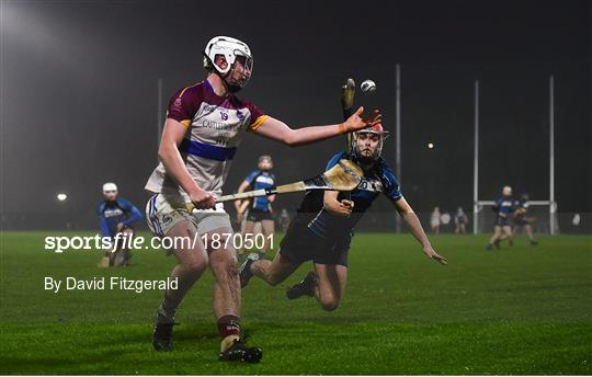 UL v Maynooth - Fitzgibbon Cup Group B Round 3