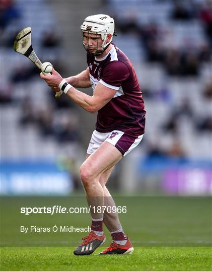 Ballyhale Shamrocks v Borris-Ileigh - AIB GAA Hurling All-Ireland Senior Club Championship Final