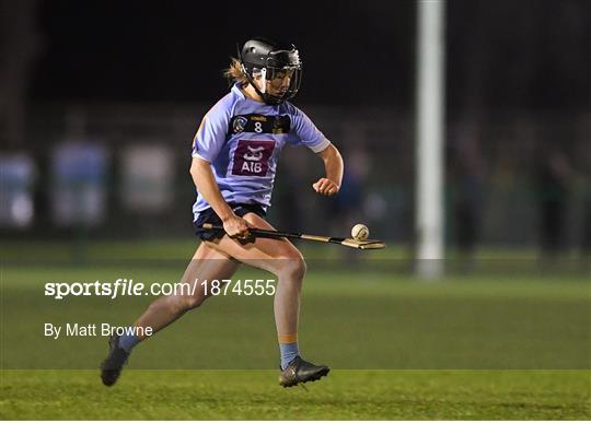 UCD v Athlone IT - Purcell Cup Camogie Championship Round 2