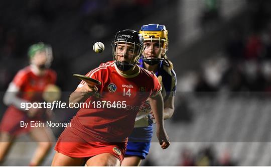 Cork v Waterford - Littlewoods Ireland National Camogie League Division 1