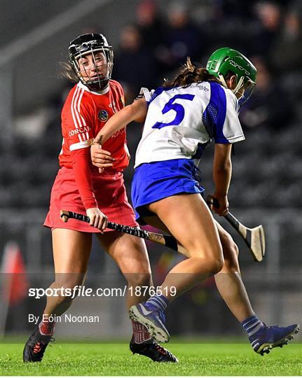 Cork v Waterford - Littlewoods Ireland National Camogie League Division 1