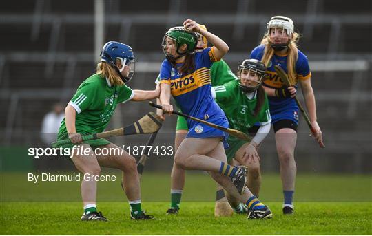 Limerick v Tipperary - Littlewoods Ireland National Camogie League Division 1