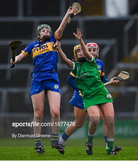 Limerick v Tipperary - Littlewoods Ireland National Camogie League Division 1