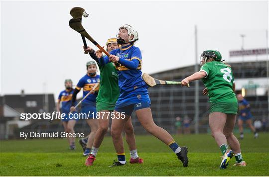 Limerick v Tipperary - Littlewoods Ireland National Camogie League Division 1